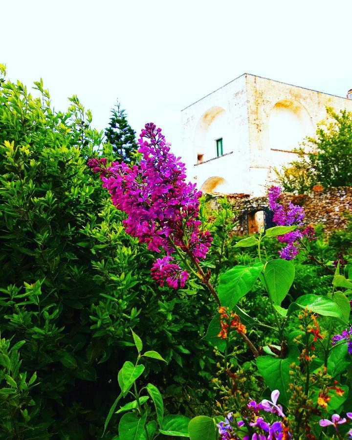 Masseria Delle Rose 1760 Alessano Luaran gambar