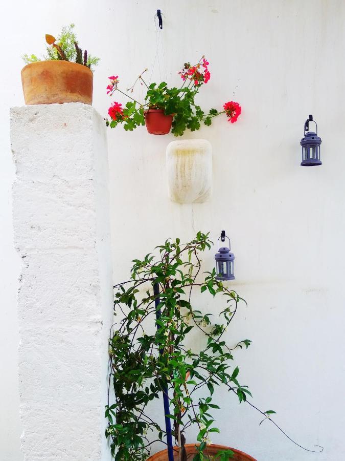 Masseria Delle Rose 1760 Alessano Luaran gambar